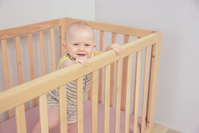 articles/BabyRest_Amara_Beech_238_PMX_FN_1_72a54a70-7a94-48ad-bad3-1e92cb9f6479.jpg