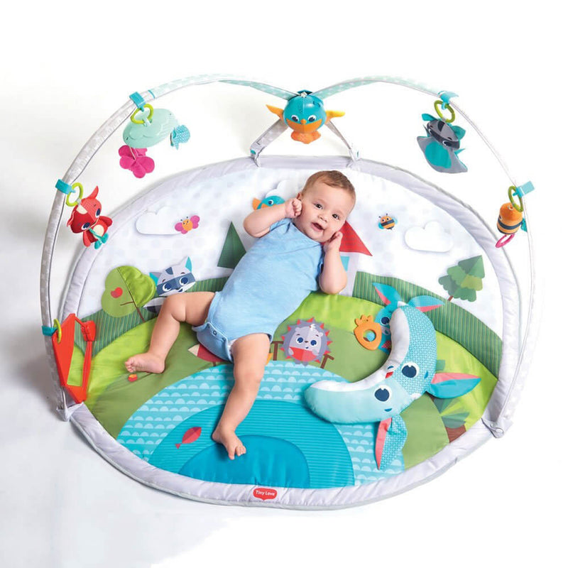 Tiny Love Meadow Days Gymini Dynamic
