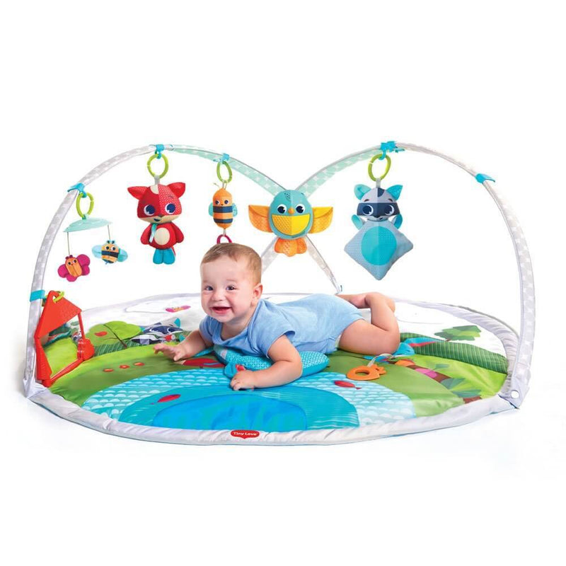 Tiny Love Meadow Days Gymini Dynamic