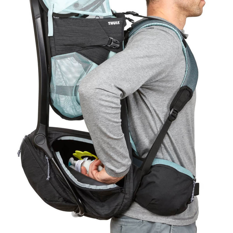 Thule Sapling Child Carrier