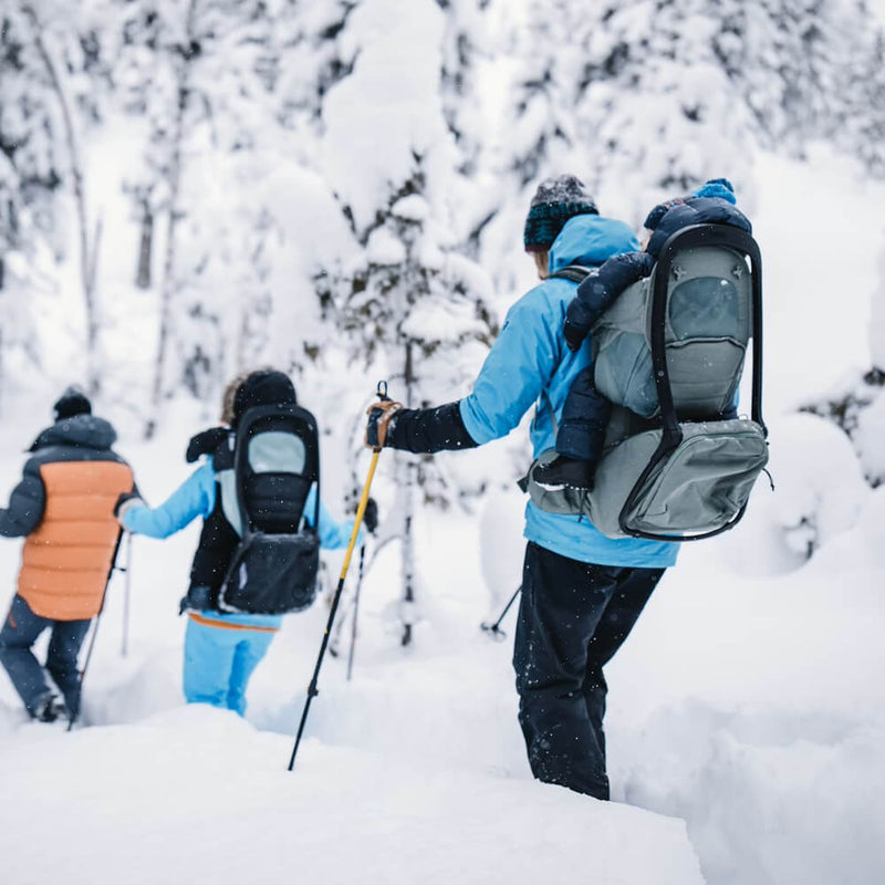 Thule Sapling Child Carrier
