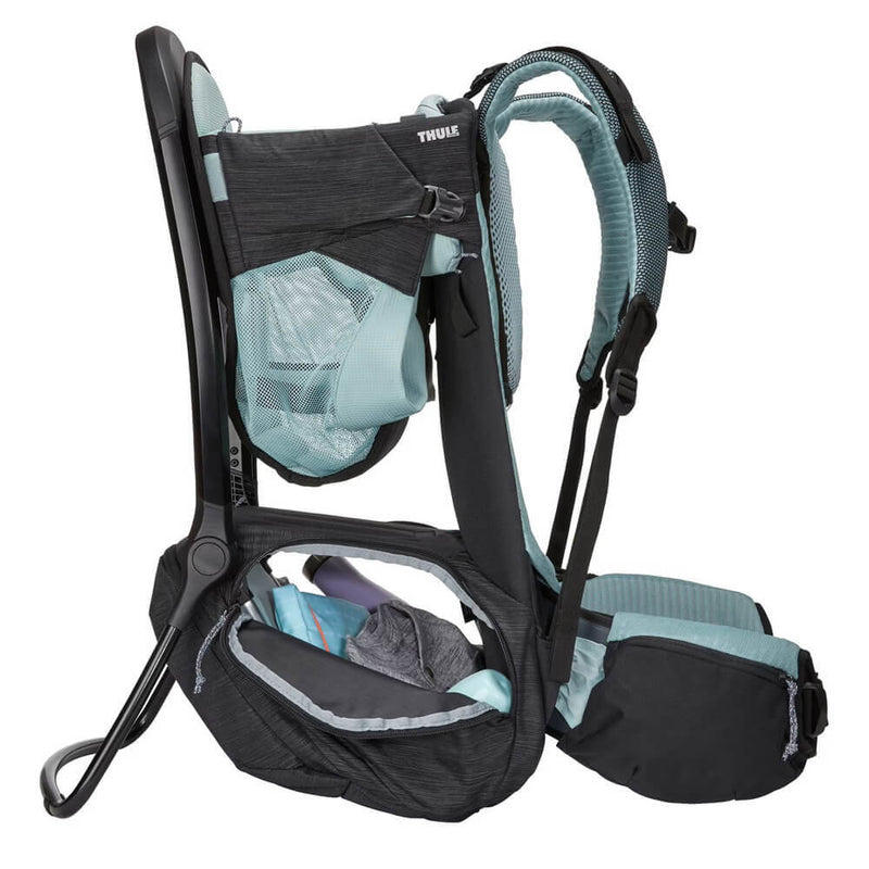 Thule Sapling Child Carrier