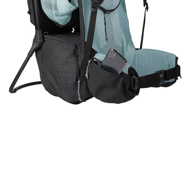 Thule Sapling Child Carrier