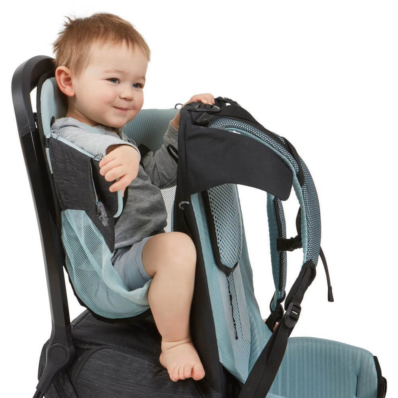 Thule Sapling Child Carrier