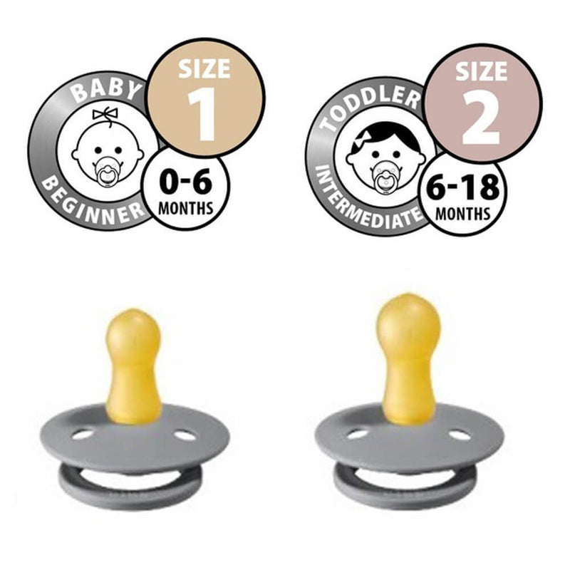 BIBS Colour Dummies 2pk