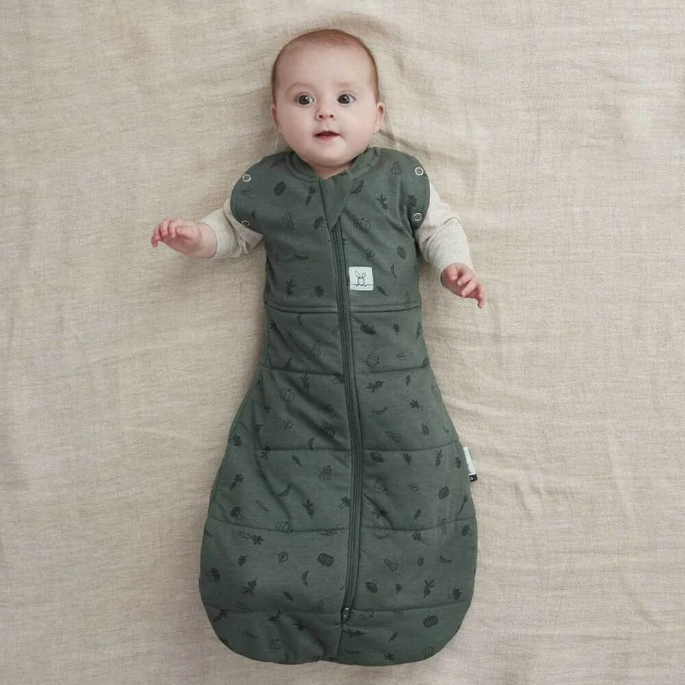 ergoPouch Cocoon Swaddle Bag 2.5 Tog