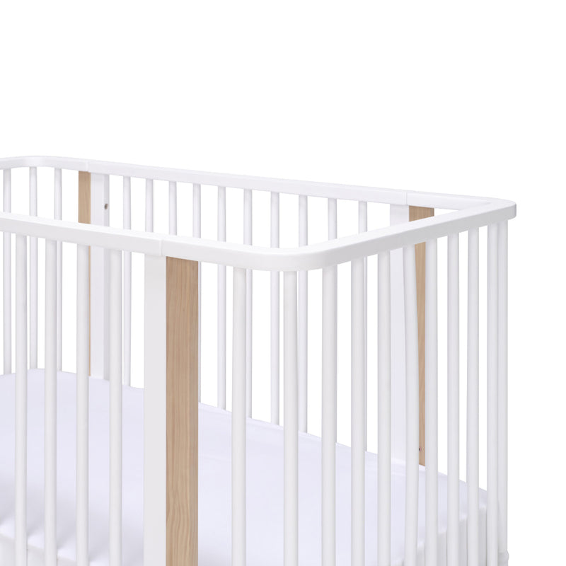 Seena Pisa Cot