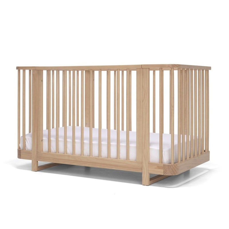 Seena Pisa Cot