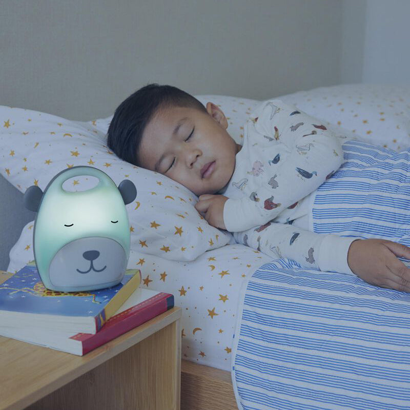 Skip Hop Beary Cute Take-Along Nightlight