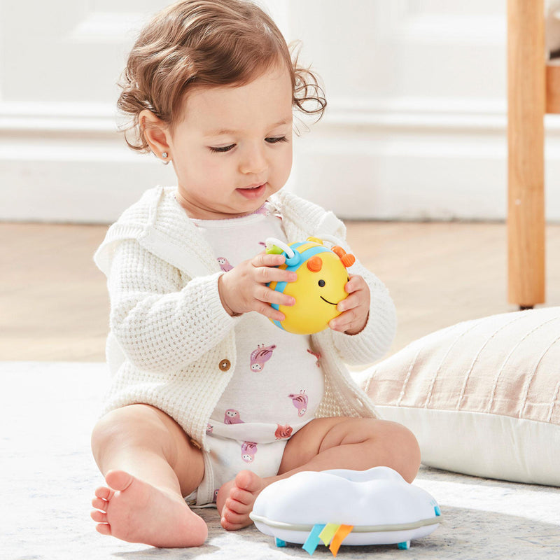 Skip Hop Explore & More Follow Bee Crawl Toy