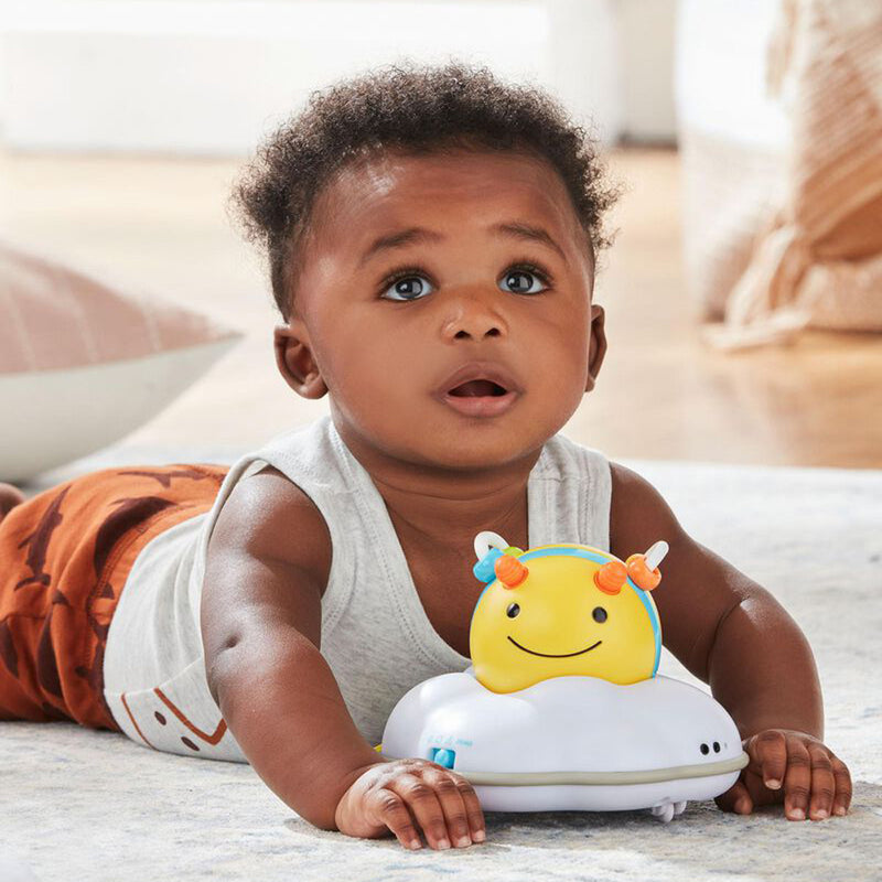 Skip Hop Explore & More Follow Bee Crawl Toy