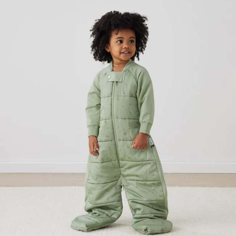 ErgoPouch 2.5 Tog Sleep Suit Bag Willow