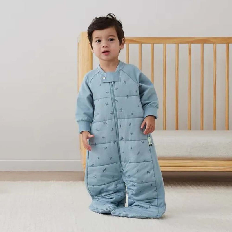 ErgoPouch 2.5 Tog Sleep Suit Bag Dragonflies