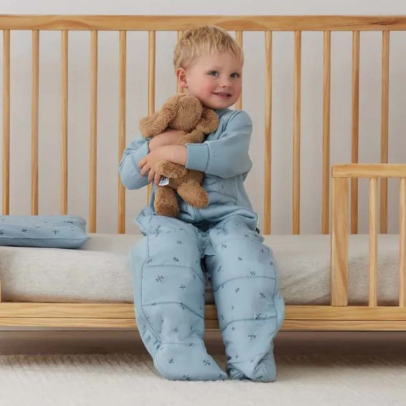 ErgoPouch 2.5 Tog Sleep Suit Bag Dragonflies