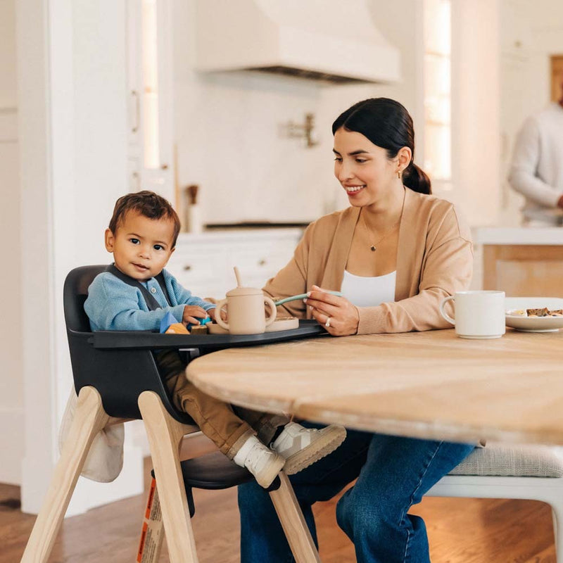 UPPAbaby Ciro High Chair