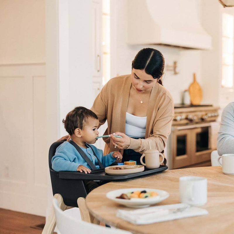 UPPAbaby Ciro High Chair