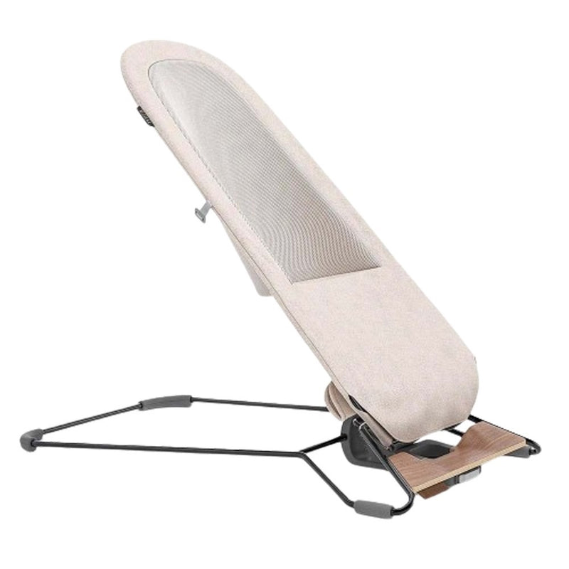 UPPAbaby Mira 2 In 1 Bouncer & Seat
