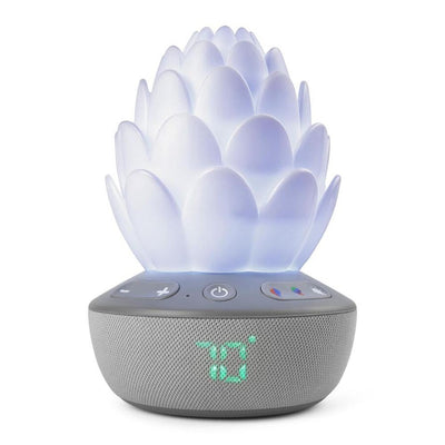 Skip Hop Terra Cry Activated Soother