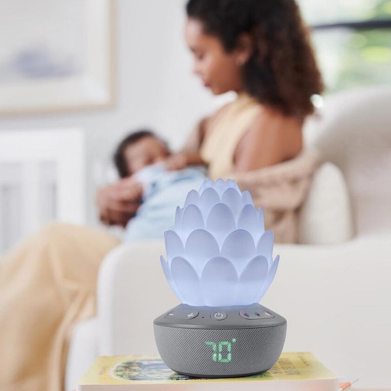 Skip Hop Terra Cry Activated Soother