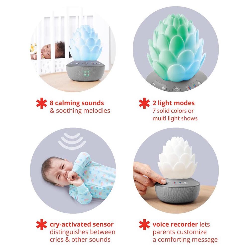 Skip Hop Terra Cry Activated Soother