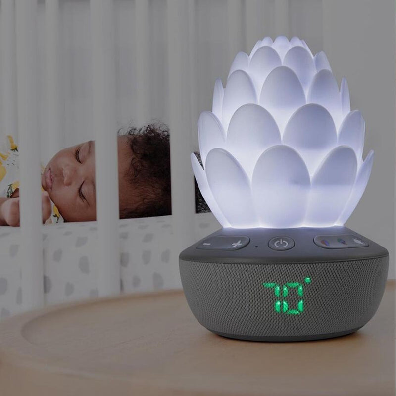 Skip Hop Terra Cry Activated Soother