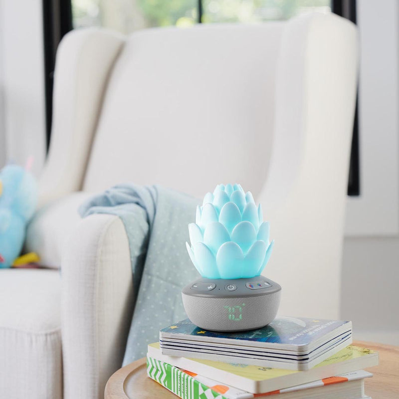 Skip Hop Terra Cry Activated Soother