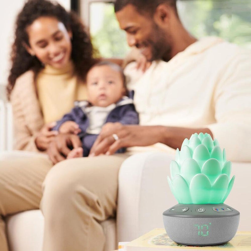 Skip Hop Terra Cry Activated Soother