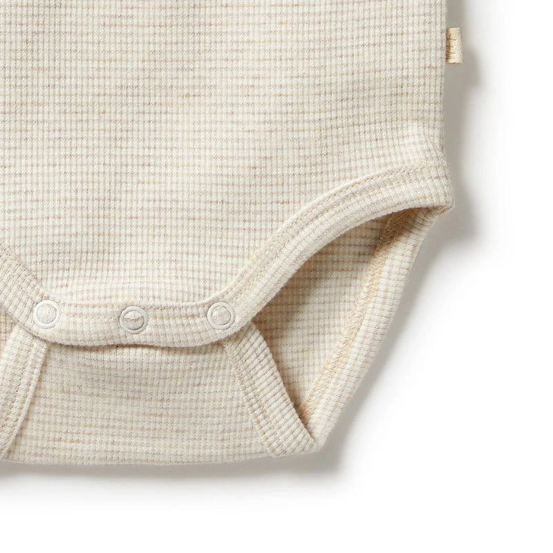 Wilson & Frenchy Organic Stripe Rib Bodysuit Oatmeal