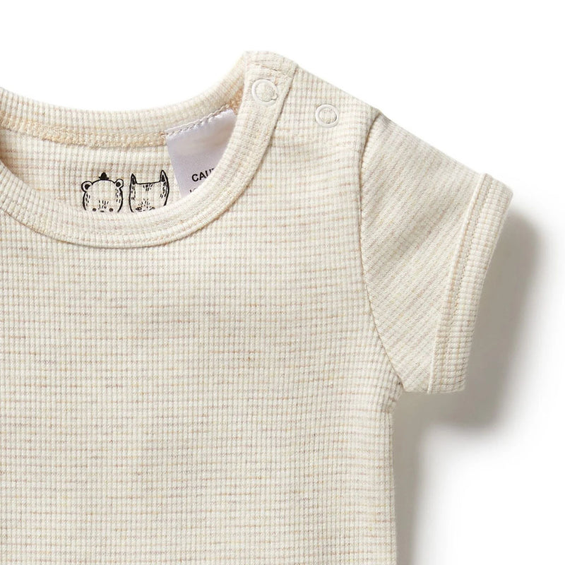 Wilson & Frenchy Organic Stripe Rib Bodysuit Oatmeal