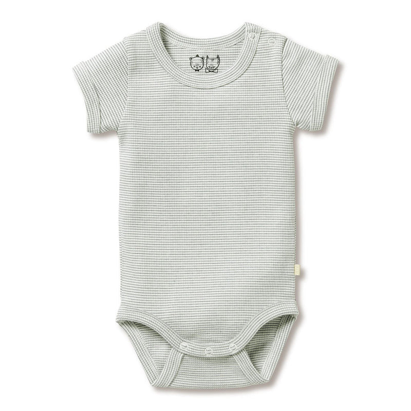 The Wilson & Frenchy Organic Stripe Rib Bodysuit Fern features short sleeves, ribbed texture, a round neckline, shoulder snaps, and bottom closures—crafted from soft organic cotton for comfort.