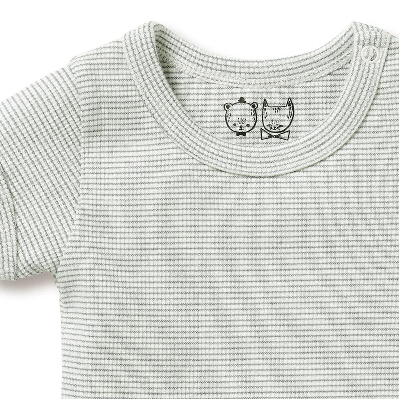 Wilson & Frenchy Organic Stripe Rib Bodysuit Fern