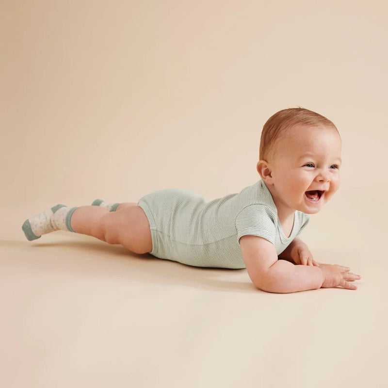 Wilson & Frenchy Organic Stripe Rib Bodysuit Fern