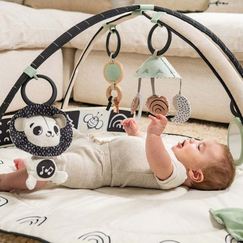 Tiny Love Black & White Decor Developmental Gymini
