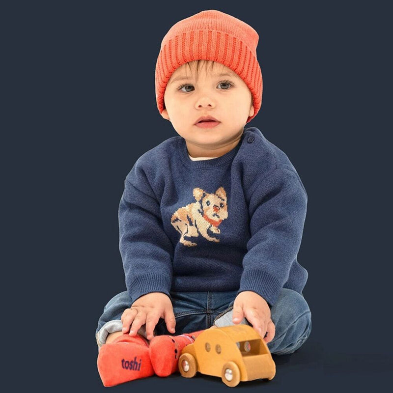 Toshi Organic Pullover Storytime/Frenchie