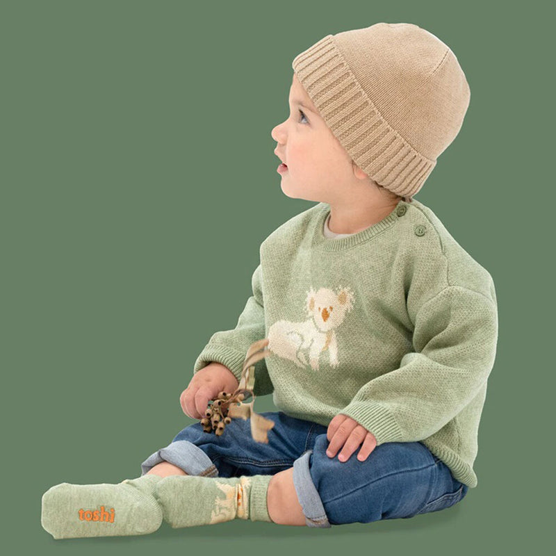 Toshi Organic Pullover Storytime/Koala