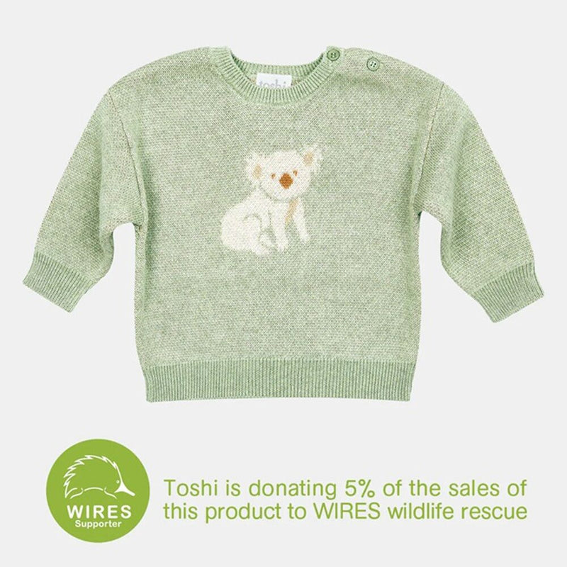 Toshi Organic Pullover Storytime/Koala