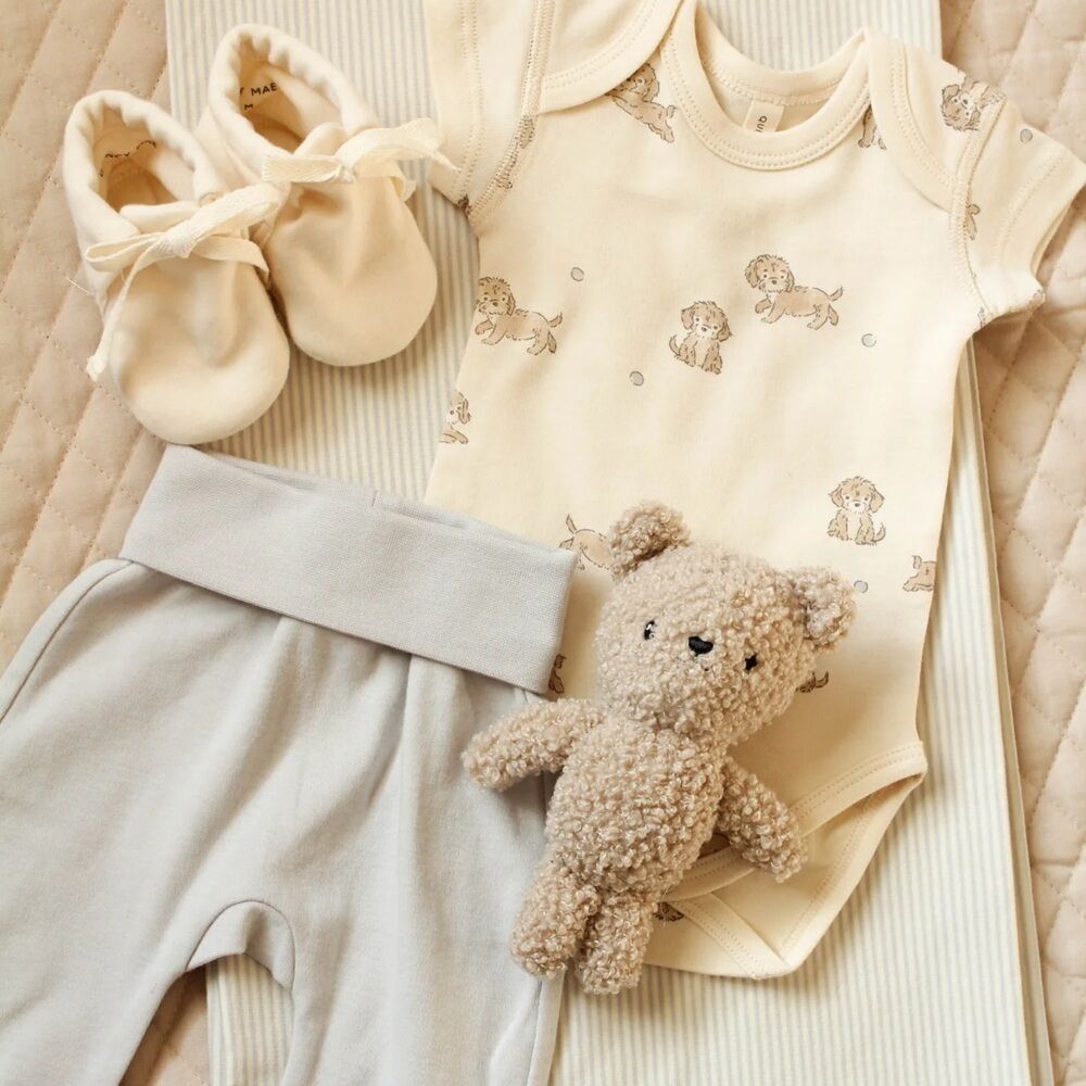 Quincy Mae Short Sleeve Bodysuit, 2 Pack Puppies, Blue Stripe