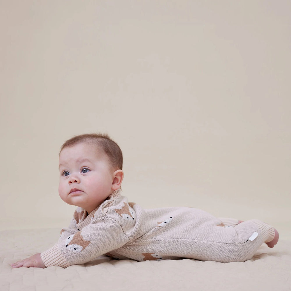 Aster & Oak Fox Knit Romper Crystal Grey