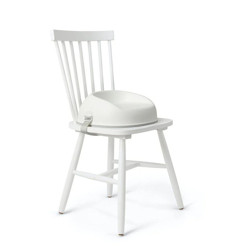 BabyBjorn Booster Seat