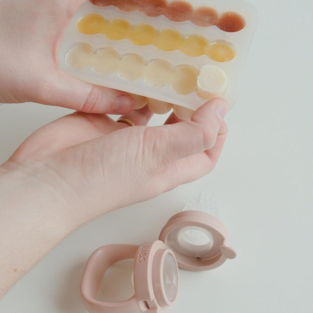 Bibs Dummies Baby Food Freezer Tray