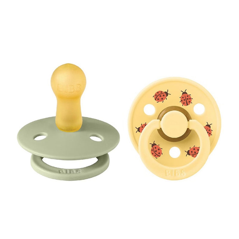 Bibs Dummies Studio Colour 2pk Ladybug Sage Mix