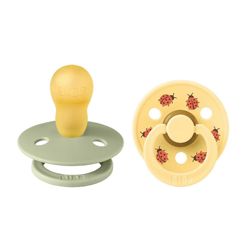 Bibs Dummies Studio Colour 2pk Ladybug Sage Mix