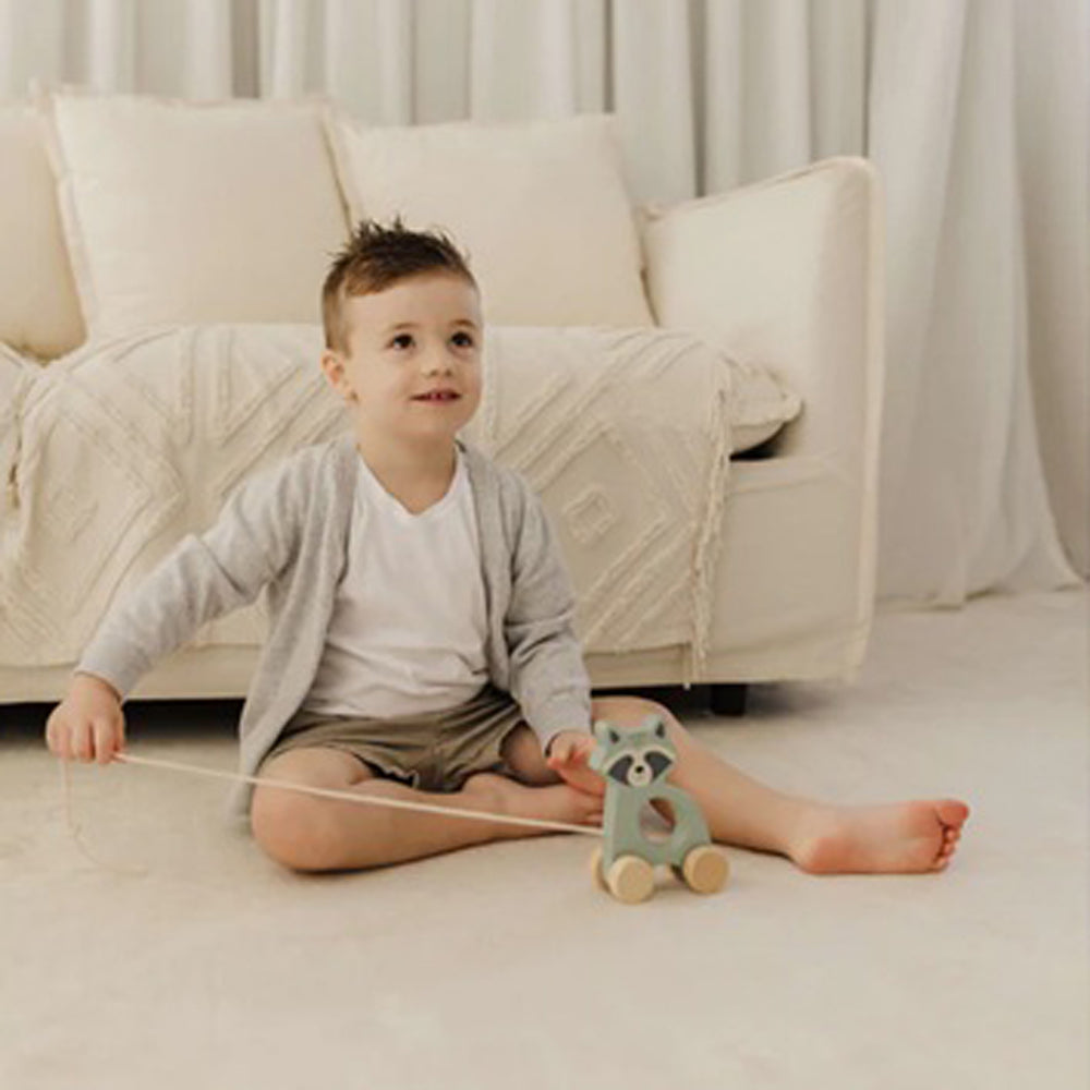 Bubble Wooden Raccoon Pull Along Toy