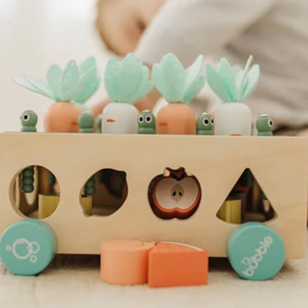 Bubble Wooden Vegetable Garden