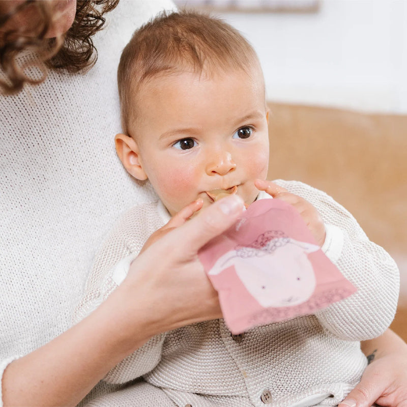Cherub Baby On The Go Reusable Food Pouch Bundle Kit