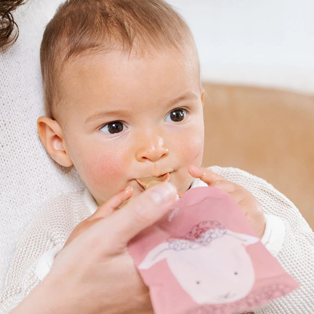 Cherub Baby Reusable Baby Food & Yoghurt Pouch Bundle Kit