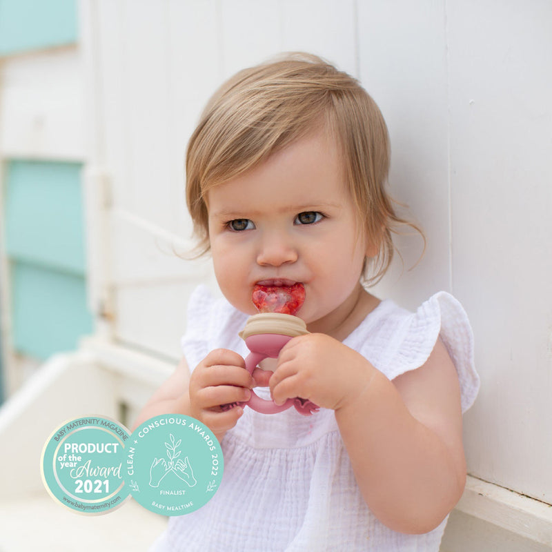 Cherub Baby Silicone Fresh Food Feeder / Nibble Tray / Replacement 2pk Net