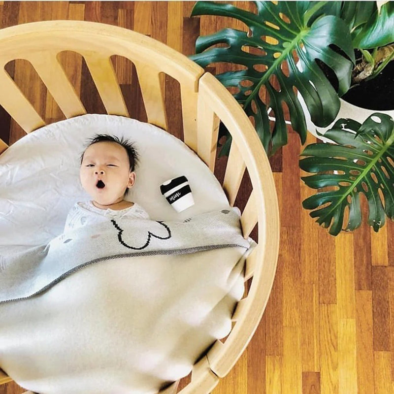 Cocoon Nest 4-in-1 Cot + Mattress