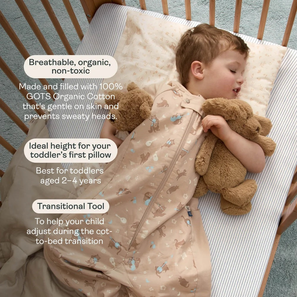 ErgoPouch Organic Toddler Pillow and Case Lullaby