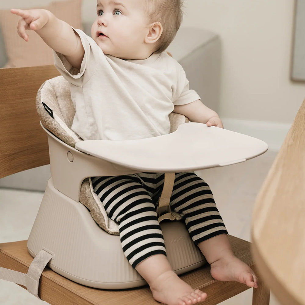 Hannie Portable High Chair